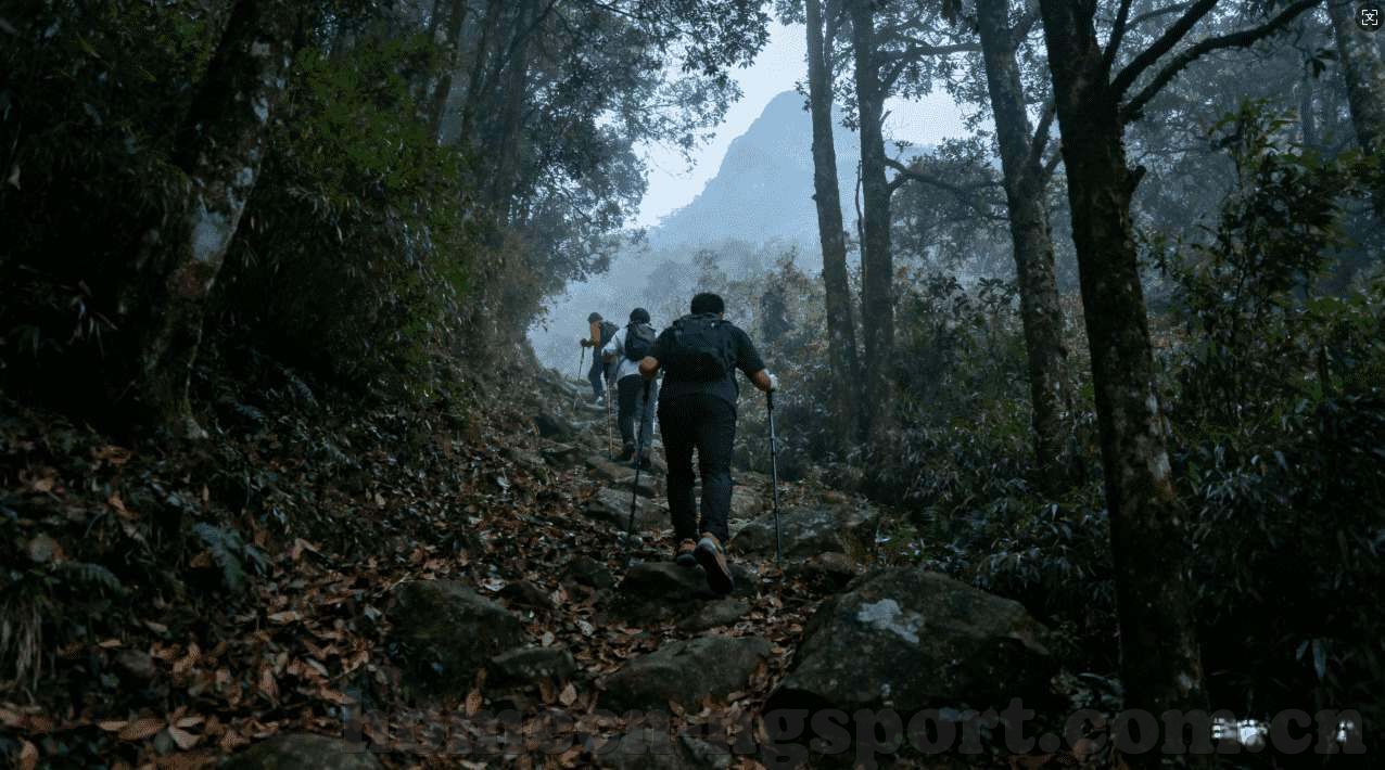 hth网页版在线登录-轻松访问，畅享无限！HTH网页版在线登录指南